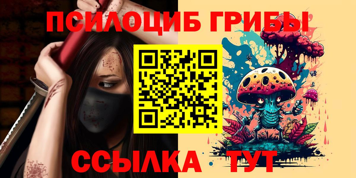 Миллерово  Галлюциногенные грибы Psilocybine cubensis  Вход с VPN  Галлюциногенные грибы Psilocybine cubensis 