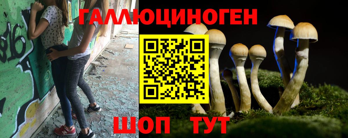Галлюциногенные грибы мухоморы Миллерово
